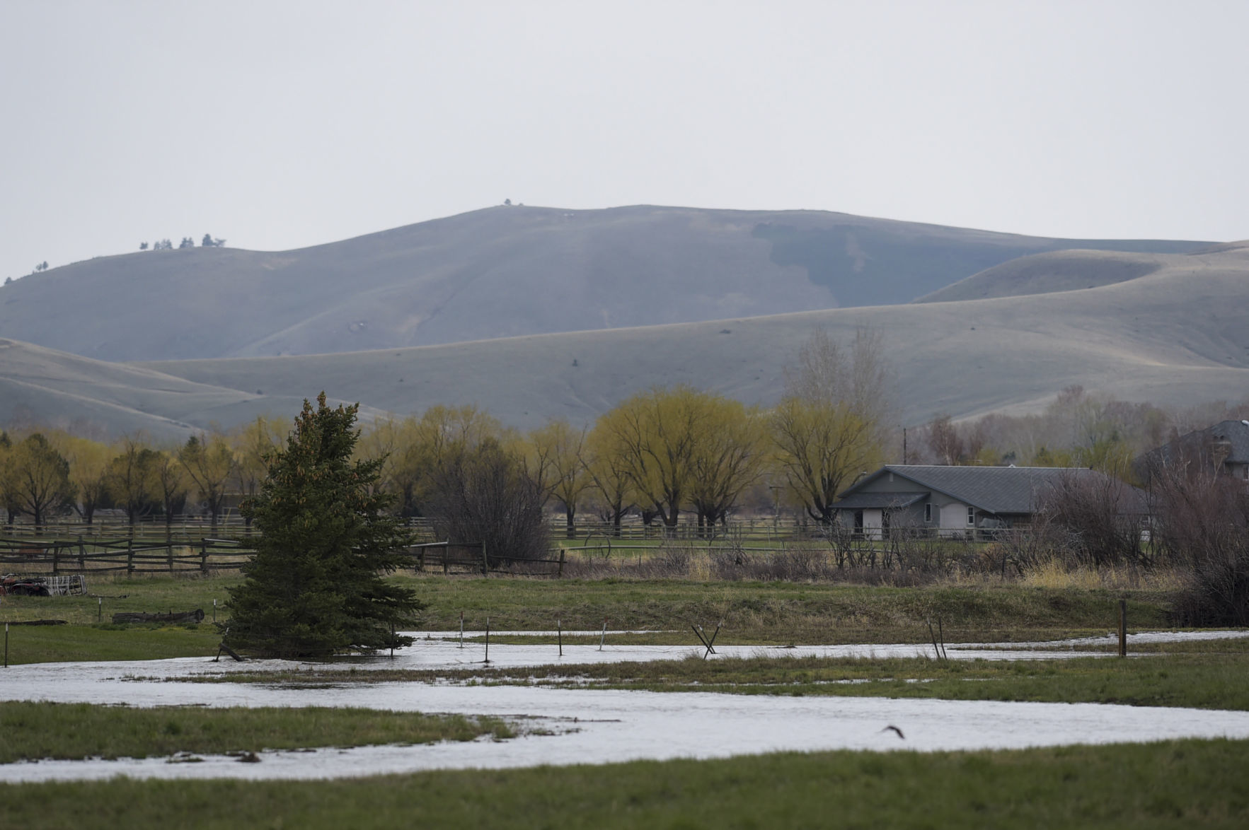 Helena Valley Flooding